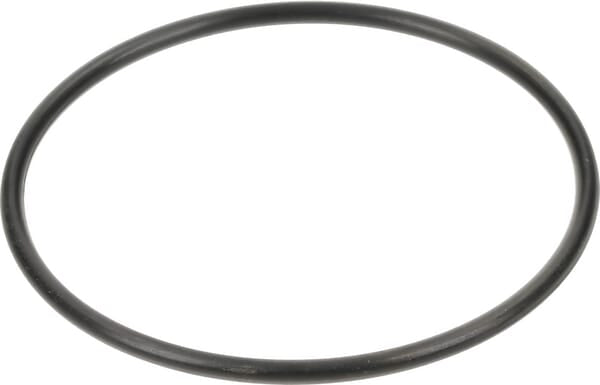 New Holland / Case O-RING - 2 STÜCK 84460855 original CNH Ersatzteil