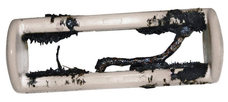 Kerbl Käfigmagnet fortissimo 21160 10 Stück