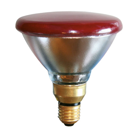 Kerbl Sparlampe PAR38 175W rot 22247