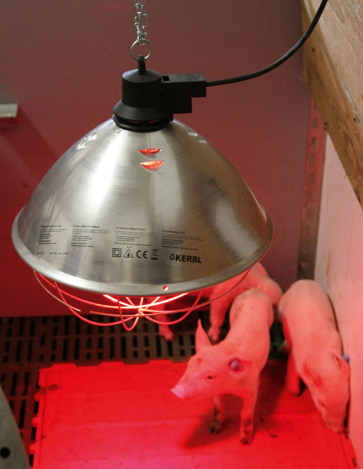 Kerbl Infrarot-Wärmestrahler 5,0mtr. 35cm Reflector 22729 5 Stück