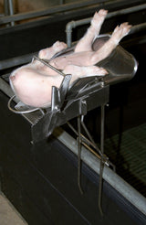 Kerbl Kastrationsgerät für Ferkel 2-9 Tage, Edelstahl, o. Halter 22818