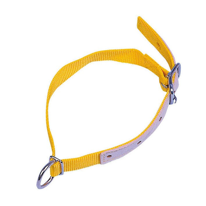 Kerbl Halsriemen f.Schafe, 60cm gelb 2718