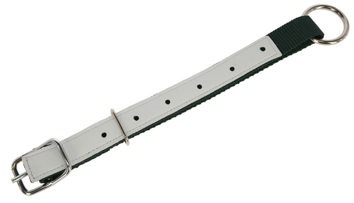 Kerbl Halsriemen f.Schafe, Nyl. 60cm grün - 27189