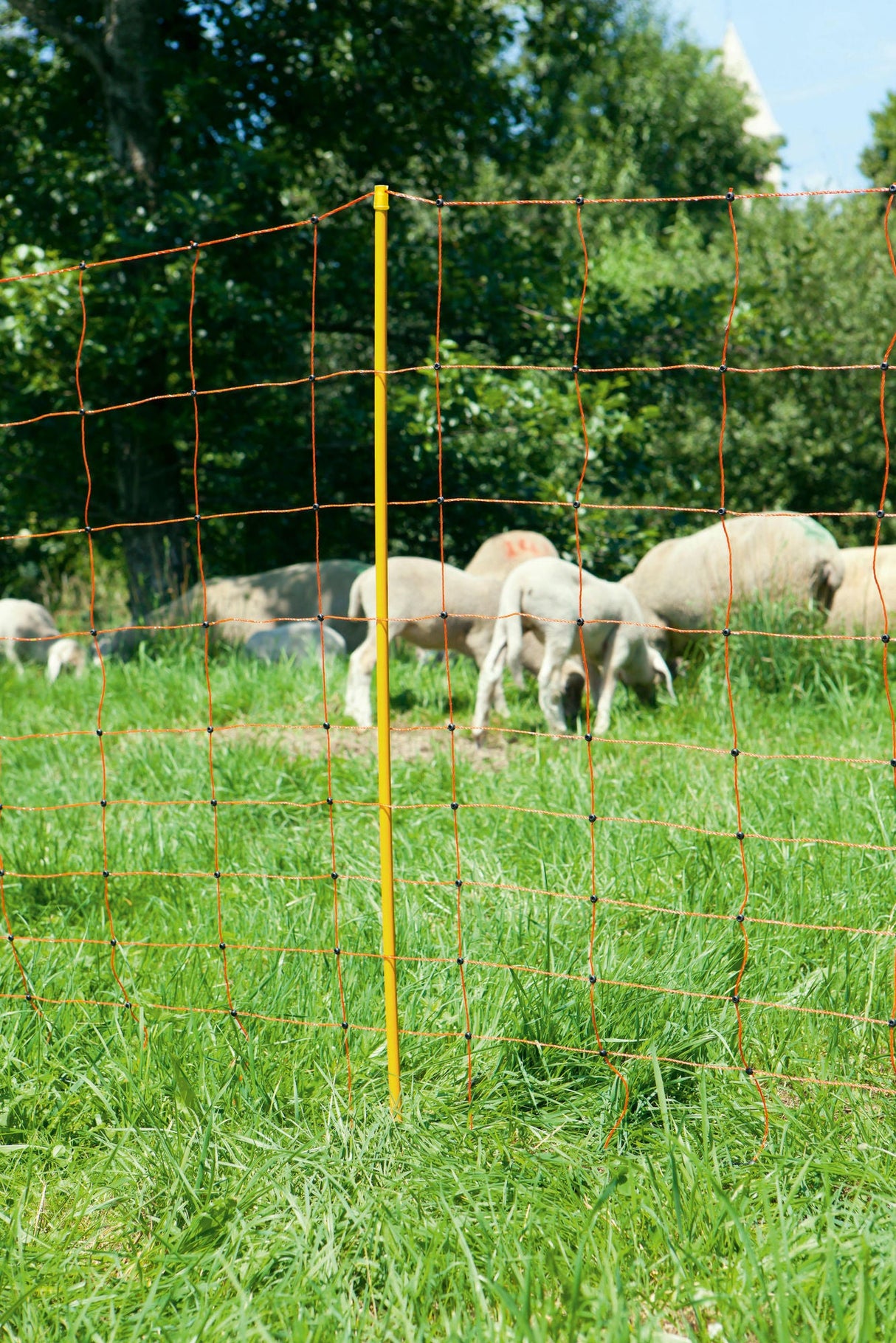 Kerbl OviNet Schafnetz orange Höhe: 108 cm Einzelspitze 27253