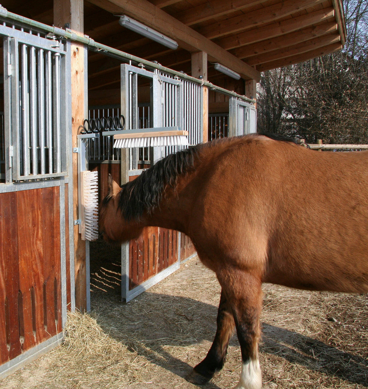 Kerbl Viehbürste TEXAS 29310