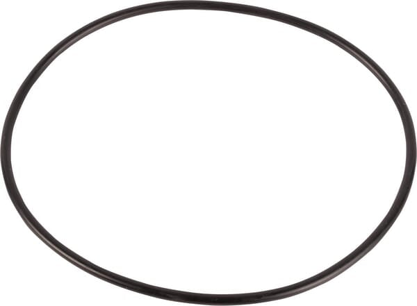New Holland / Case O-RING - 2 STÜCK 87089S95 original CNH Ersatzteil