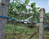 Kerbl Seilzug mit Ratsche 2 t Seil: ø¸ 5 mm / 3 m 37116