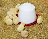 Novital Kunststoff-Tränke, 3,5 l für Küken und Hühner 70203