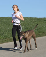 Kerbl Artikel 81181 im Online Shop kaufen