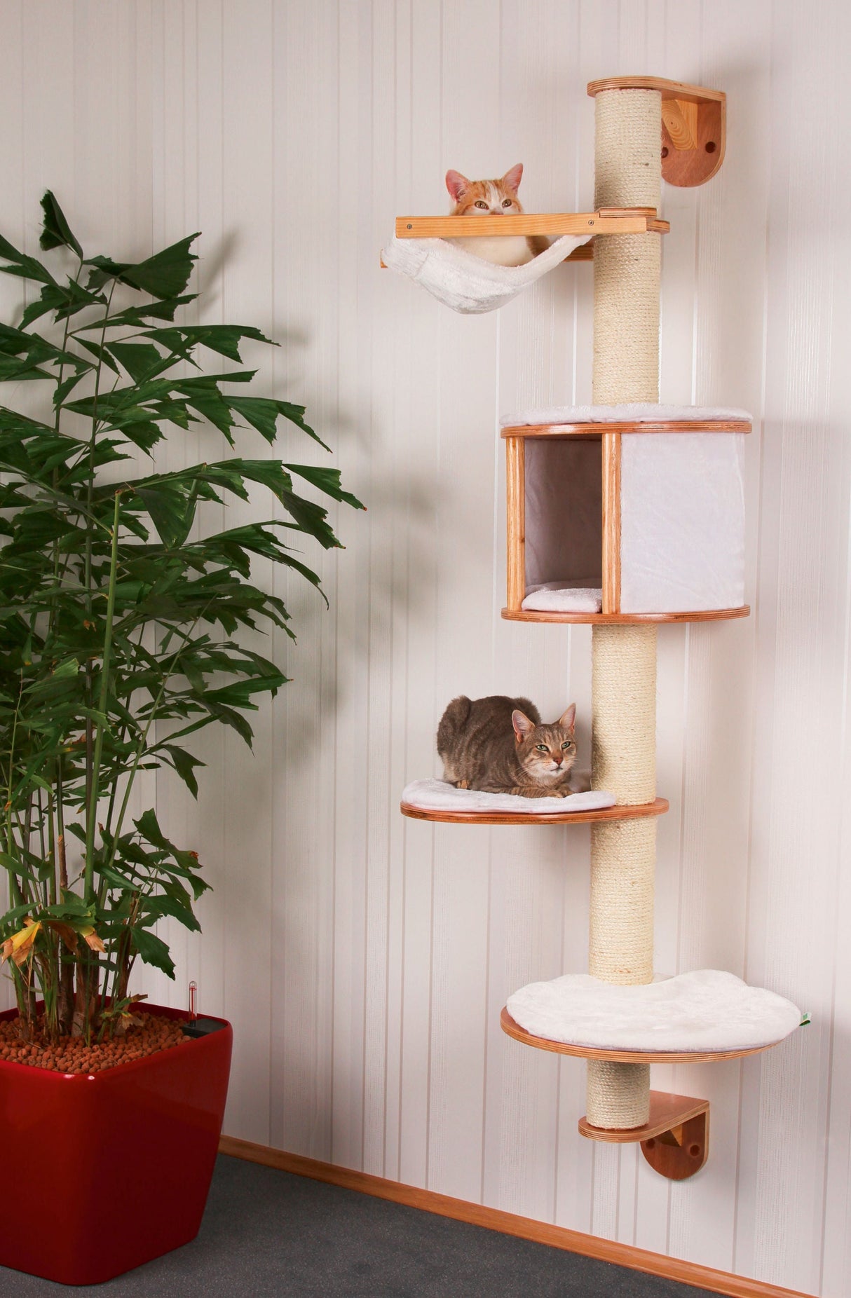 Kerbl Artikel 81500 im Online Shop kaufen