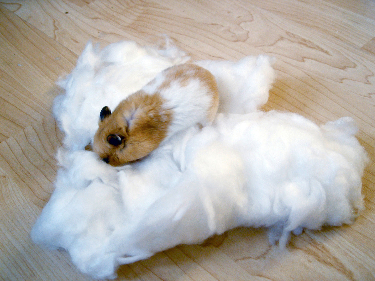 Kerbl Artikel 83188 im Online Shop kaufen