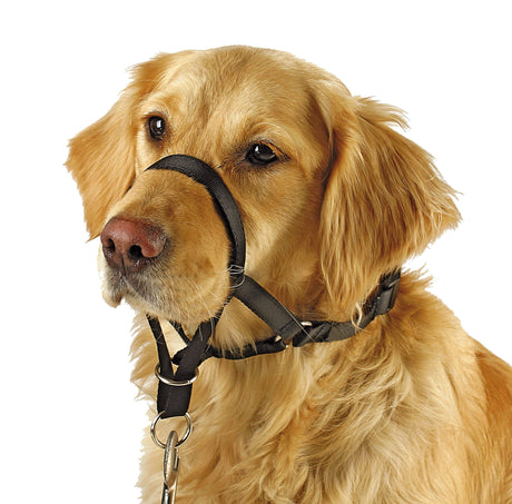 Kerbl Artikel 83313 im Online Shop kaufen