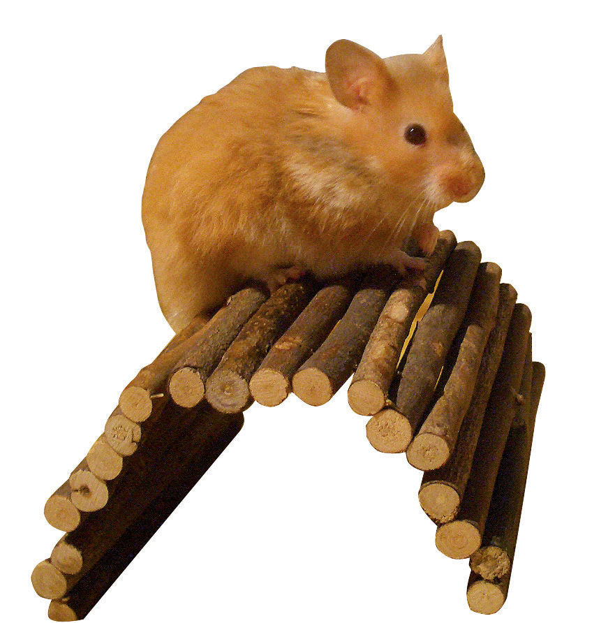 Kerbl Artikel 84073 im Online Shop kaufen