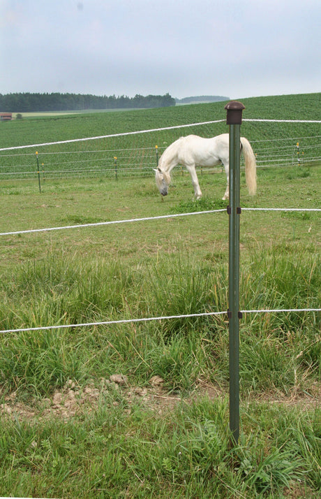 AKO T-Pfahl, 240cm, grün lackiert  441463 5 Stück