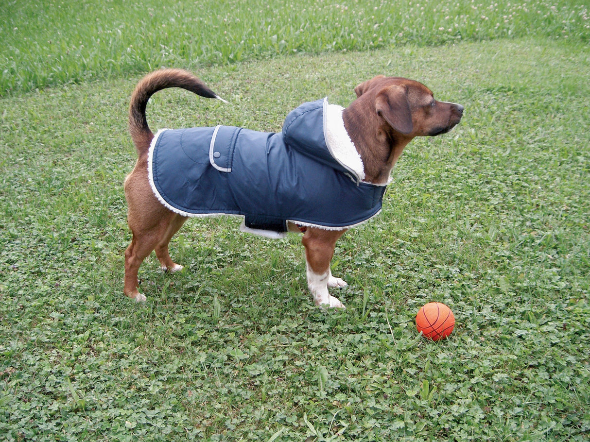 Kerbl Artikel 84930 im Online Shop kaufen