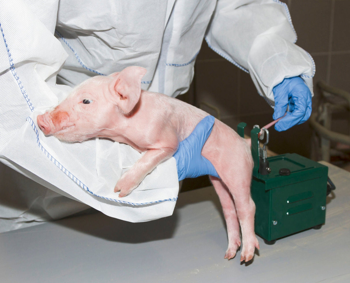 Kerbl Schwanzkupiergerät m. Trafo incl. Abstandhalter 22745