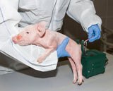 Kerbl Schwanzkupiergerät m. Trafo incl. Abstandhalter 22745