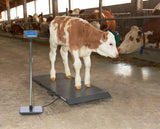 Kerbl Ständer für Display PS1000/PS2000/PS3000 291314