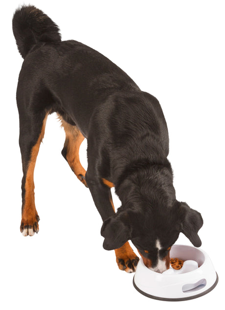 Kerbl Artikel 80504 im Online Shop kaufen