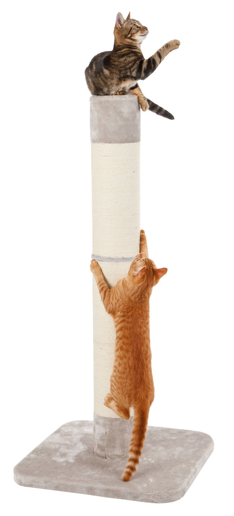 Kerbl Artikel 81556 im Online Shop kaufen