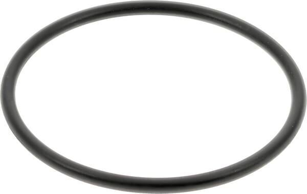 New Holland / Case O-RING - 2 STÜCK 9820460 original CNH Ersatzteil