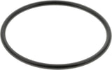 New Holland / Case O-RING - 2 STÜCK 9820460 original CNH Ersatzteil