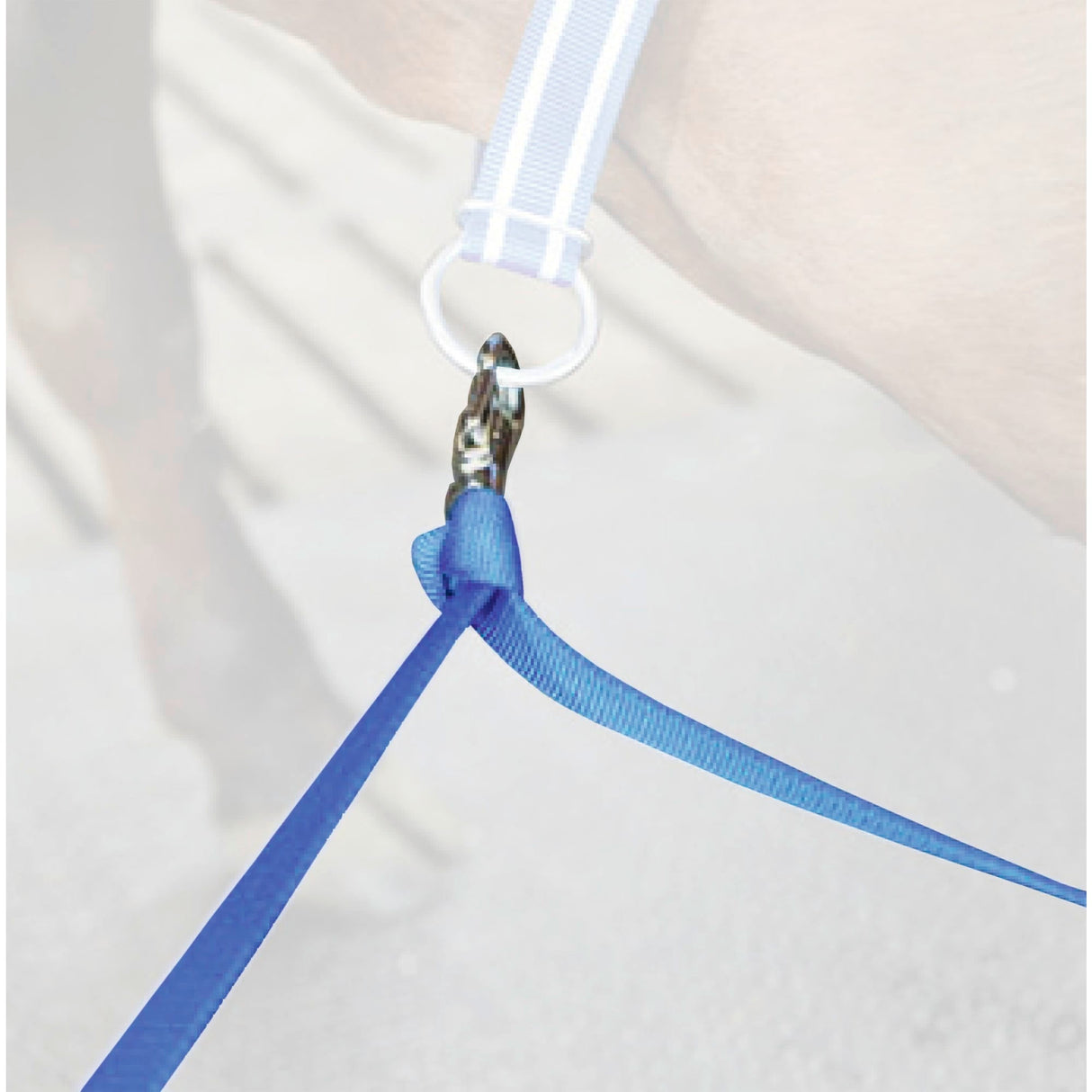 DeLaval NR Bodenriemen doppelt 87284801