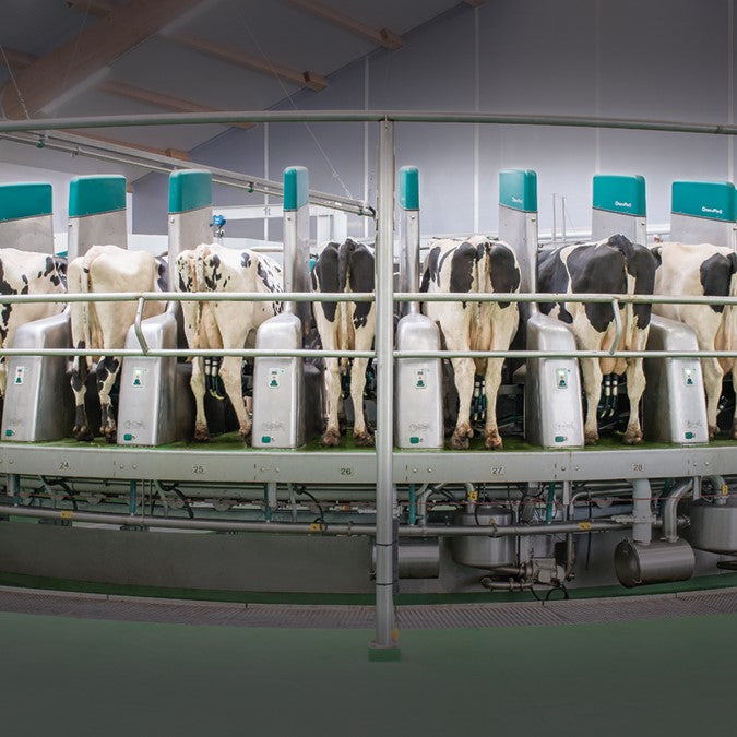 DairyProQ automatic milking parlor