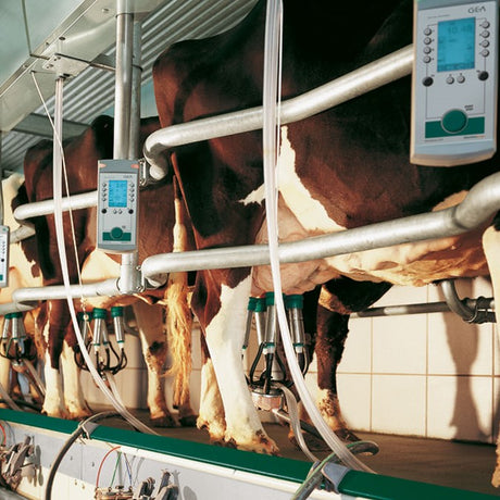 Herringbone milking parlor EuroClass 1200/1200RE 