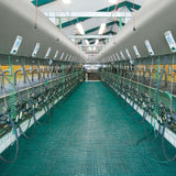 Side-by-side milking parlor Global 90i