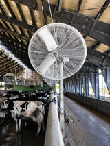 Royal de Boer Korbventilator 36"
