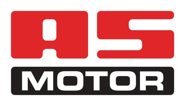 AS-Motor Sechskantschraube (10x) - 1 Stück - G07838015