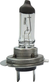 KRAMP Glühlampe 24V 70W LLHD H7 B2438