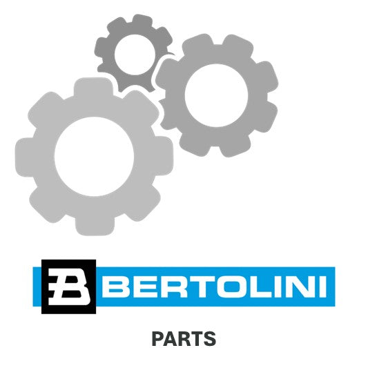 Bertolini Pumpe PBO 1250.1 VD 37511197B