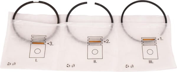 Lombardini Standard segment set ED0082110560S