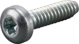 Screw 50x20