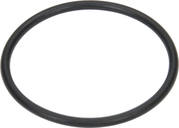 Arag O-Ring 56,74 x 3,53 EPDM G10081