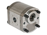 KRAMP Zahnradpumpe Polaris 20 PLP2011S095B6