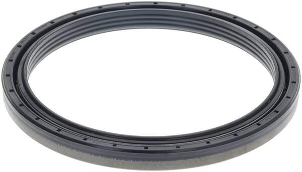 AGCO Wellendichtring - H524300020100