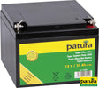 Patura Super-Vlies-Akku 12 V / 32 Ah C100 wartungsfreie Vliesbatterie 133200