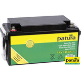 Patura Super-Vlies-Akku 12 V / 50 Ah C100 wartungsfreie Vliesbatterie 133100