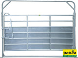 Patura Schwingtor-8 Plus Breite 3,05 m, H= 2,45 m, vz 310257
