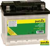 Patura Standard-Akku 12 V / 45 Ah C100 133400