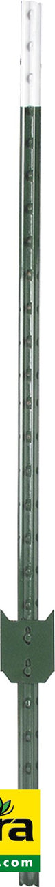 Patura T-Pfosten, grün, l = 1,52 m,lackiert (Palette mit 200 Stück) 171504