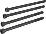 Set of screws M6X100 (4) NG10