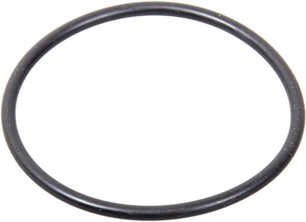 Landini O-Ring 3019943X1