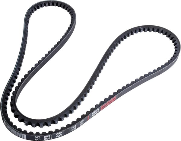 Landini Riemen 3658394M1