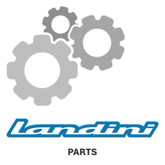 Landini Scheinwerfer 3305625M92
