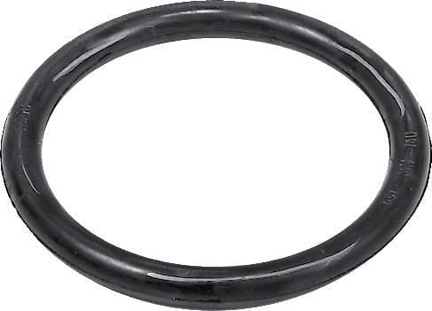 AR O-Ring 15,5 x 2,62 880831