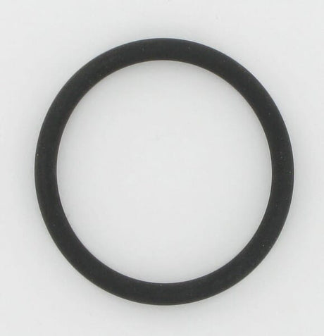 Original New Holland CNH Ersatzteil Nummer 9907913236 O-RING 